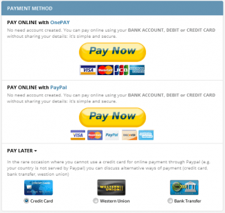 如何進行支付？